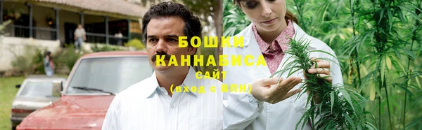 мяу мяу мука Гусь-Хрустальный