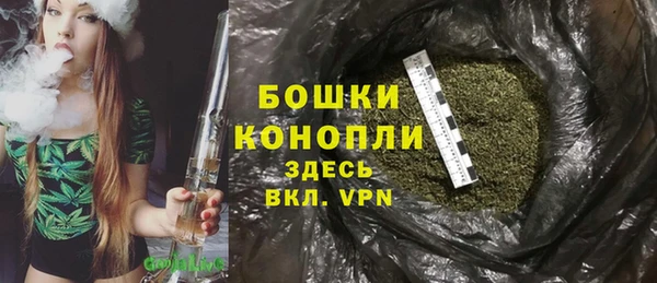 мяу мяу мука Гусь-Хрустальный