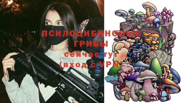 круглые Гусиноозёрск