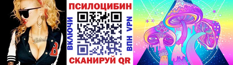 Псилоцибиновые грибы Psilocybe  наркошоп  мега сайт  Звенигород 